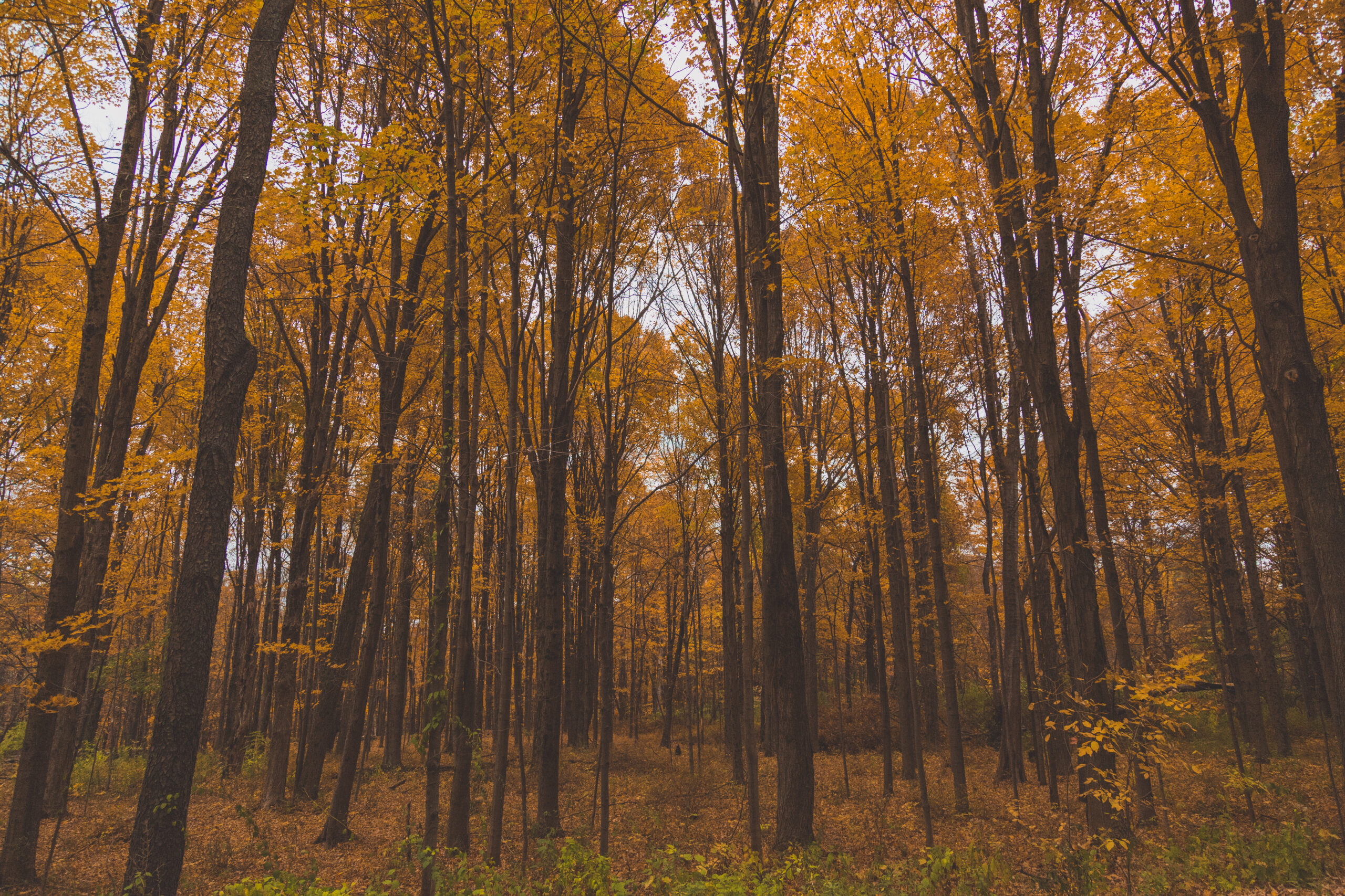 Navisite snaps up Salesforce’s EightCloud